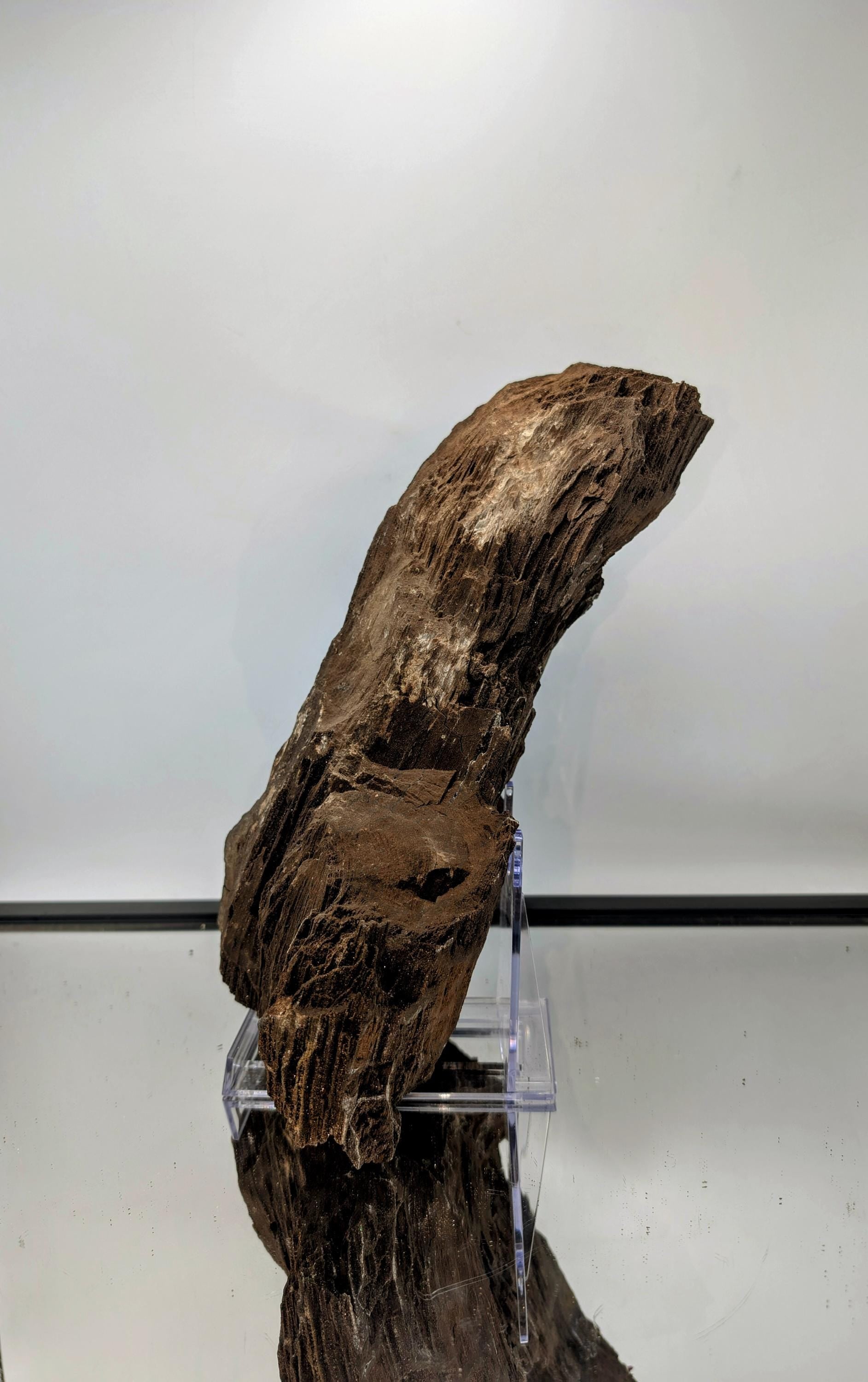 Rustic decor featuring petrified wood with druzy quartz.