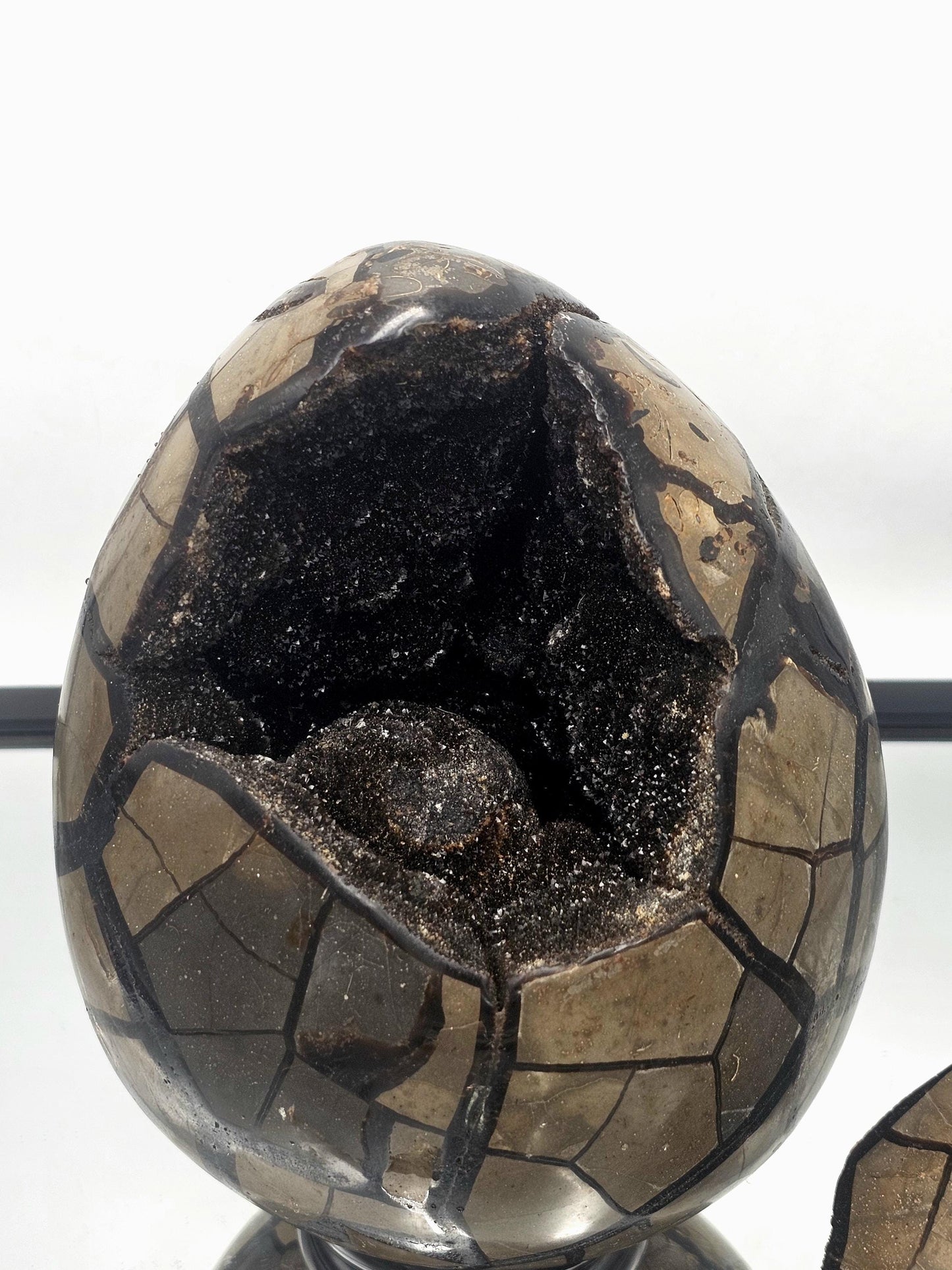Very Large Black Septarian Crystal Egg with a removable face, showcasing intricate designs.