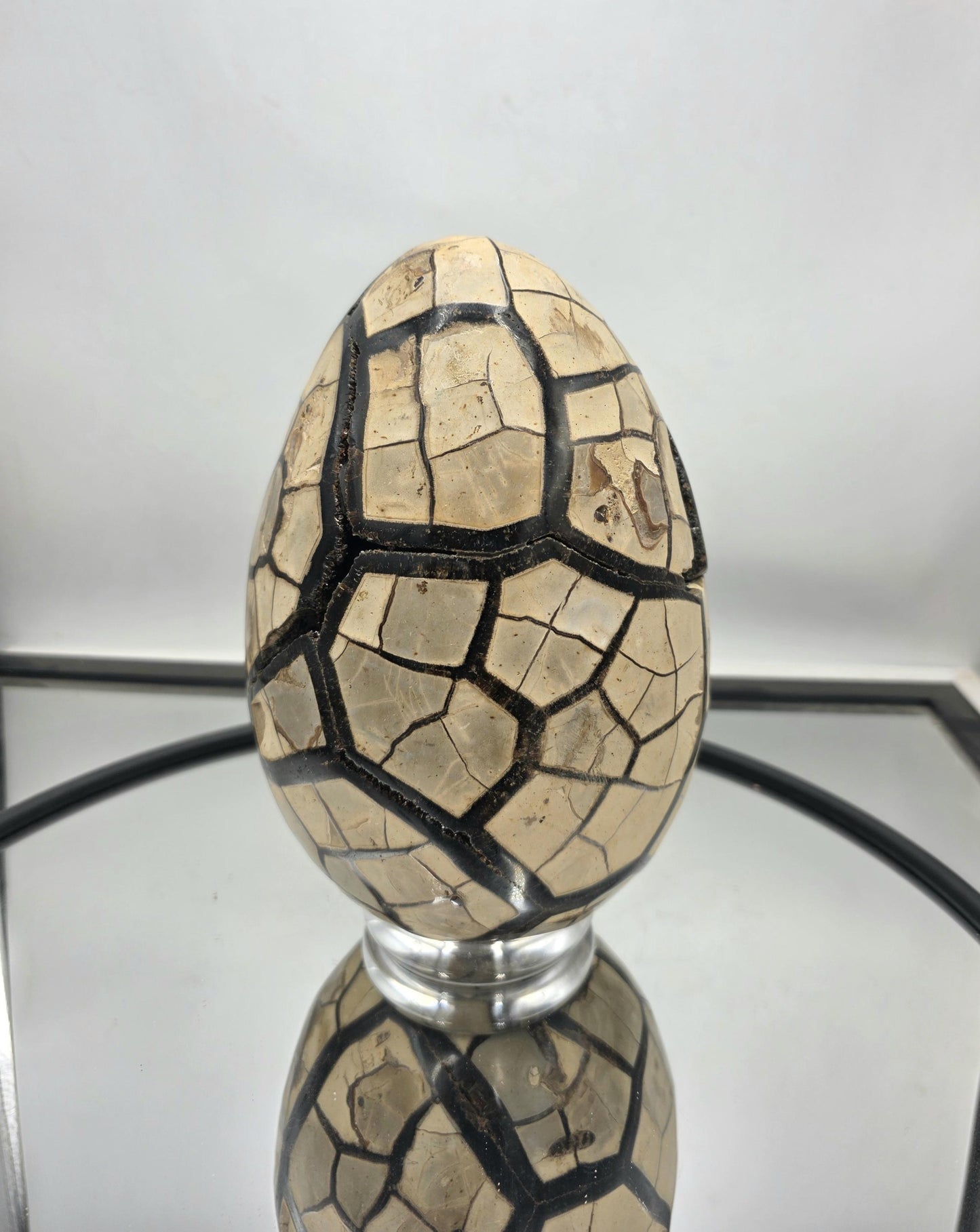 Septarian crystal egg showcasing internal patterns.