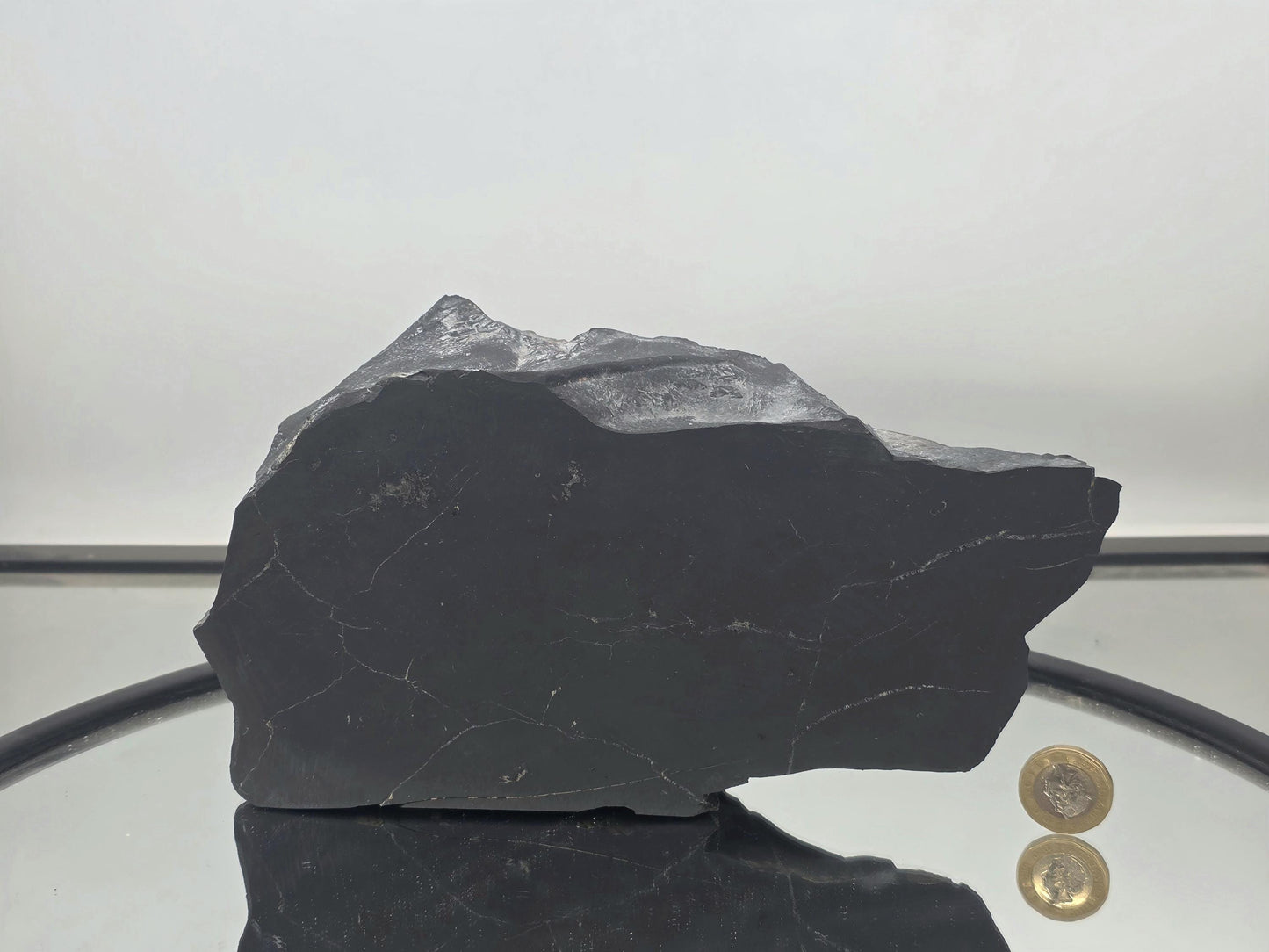 Unique mineral specimen combining shungite and pyrite elements.