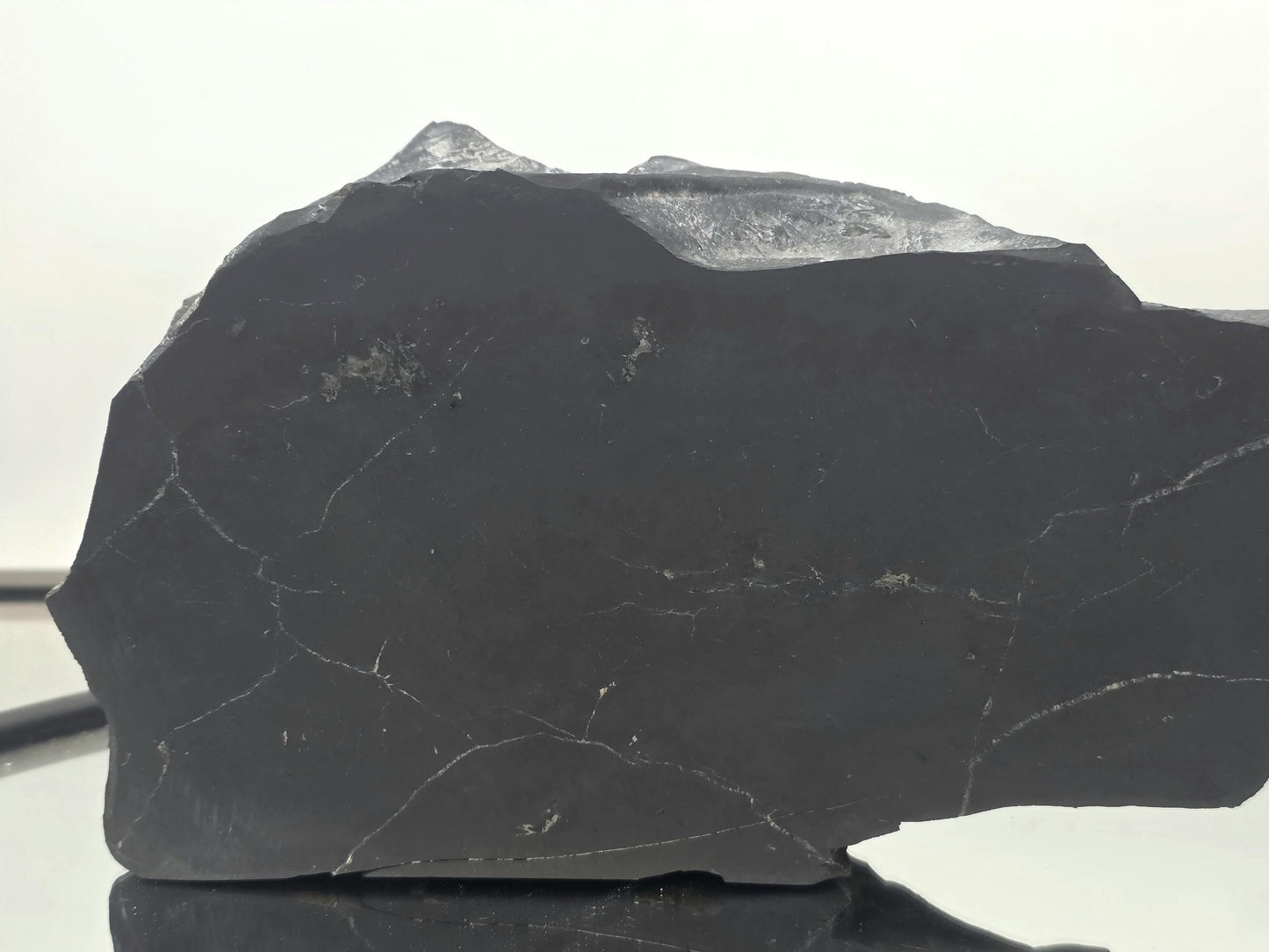 Striking combination of shungite and pyrite in a single specimen.