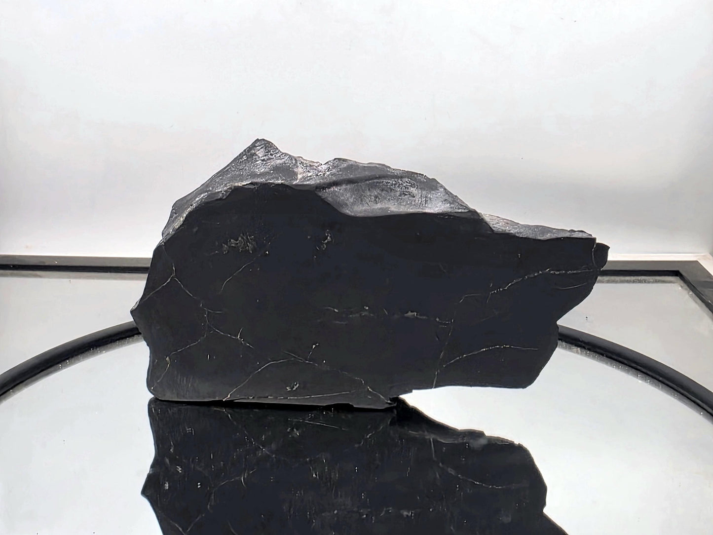 Raw shungite specimen with polished face and visible pyrite inclusions.