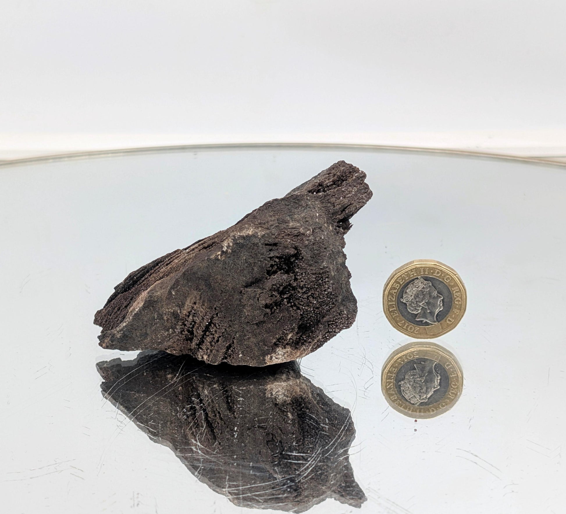 A small  petrified wood fossil with quartz druzy, sourced from Germany.