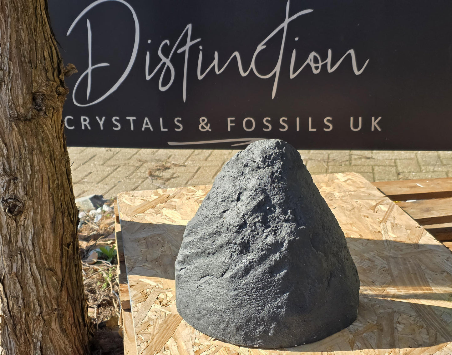 A statement Amethyst geode, a standout piece for modern homes.