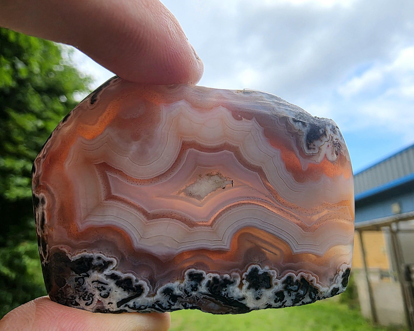 Polished crystal slice with beautiful striped agate patterns.