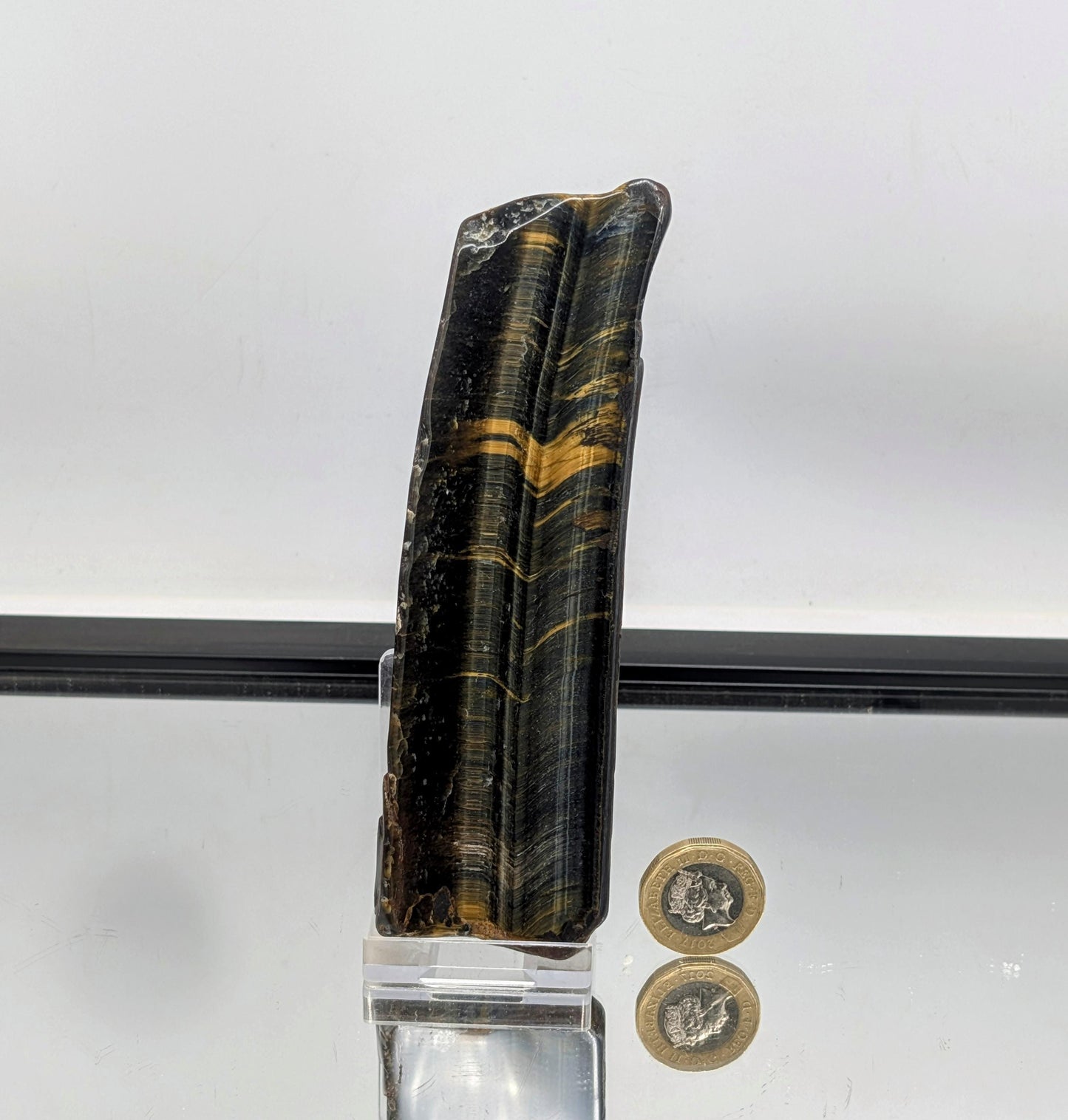 Polished slice of golden Tiger’s Eye with rich banding.