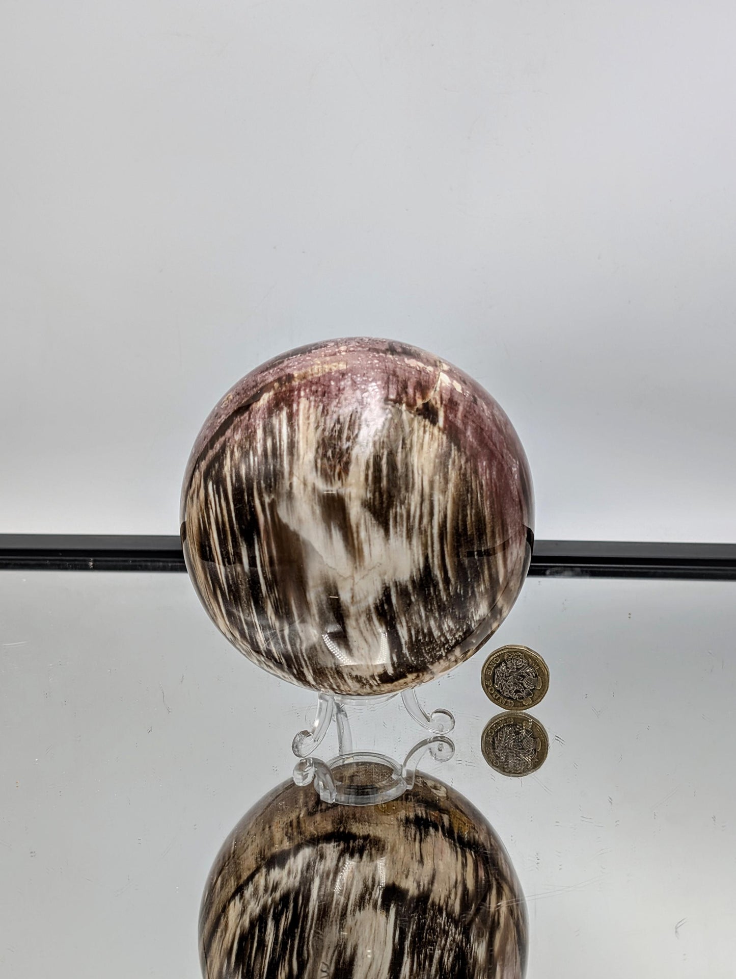 Unique Fossil Wood sphere for luxury home décor