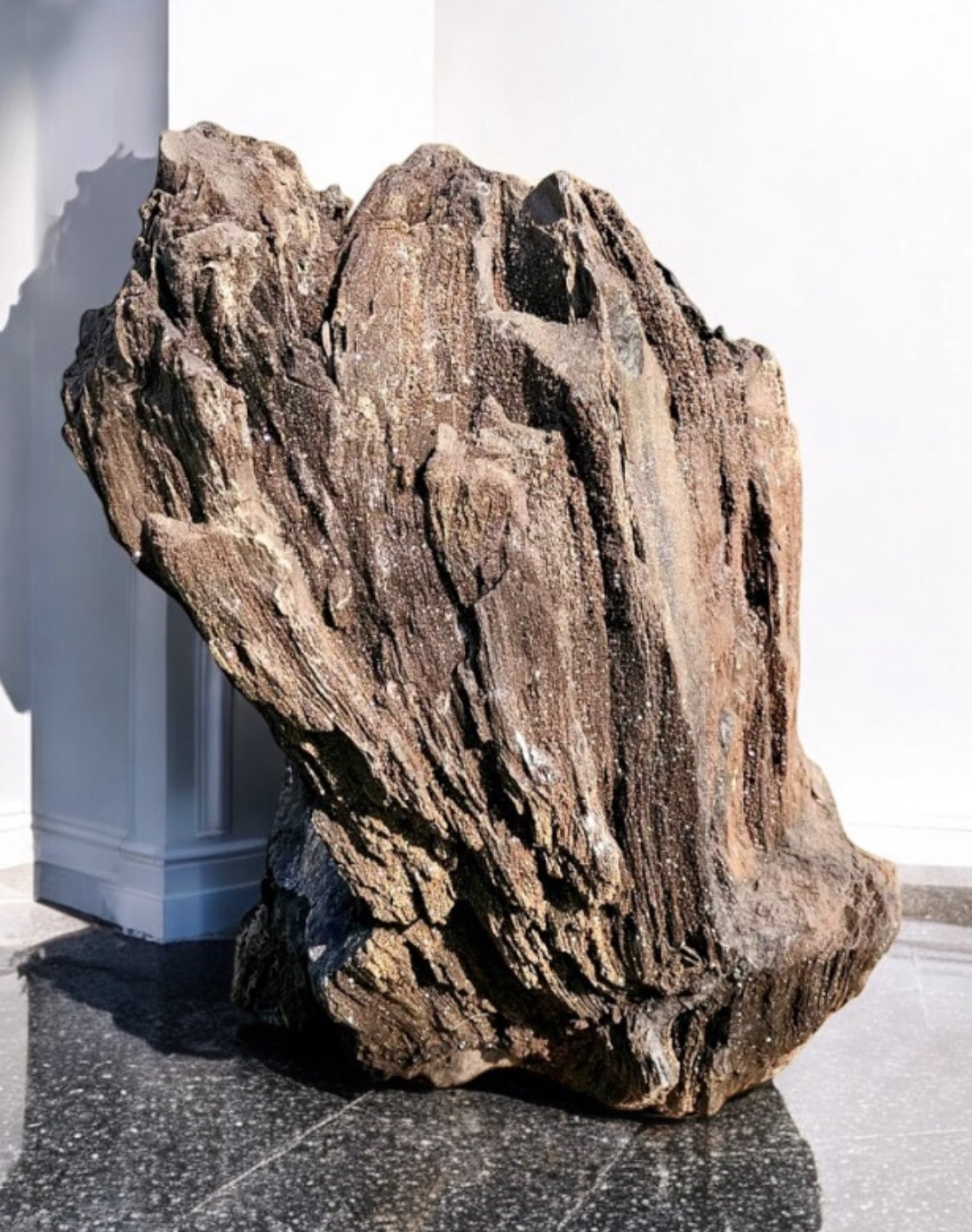 high quality permineralised fossil wood with quartz crystals