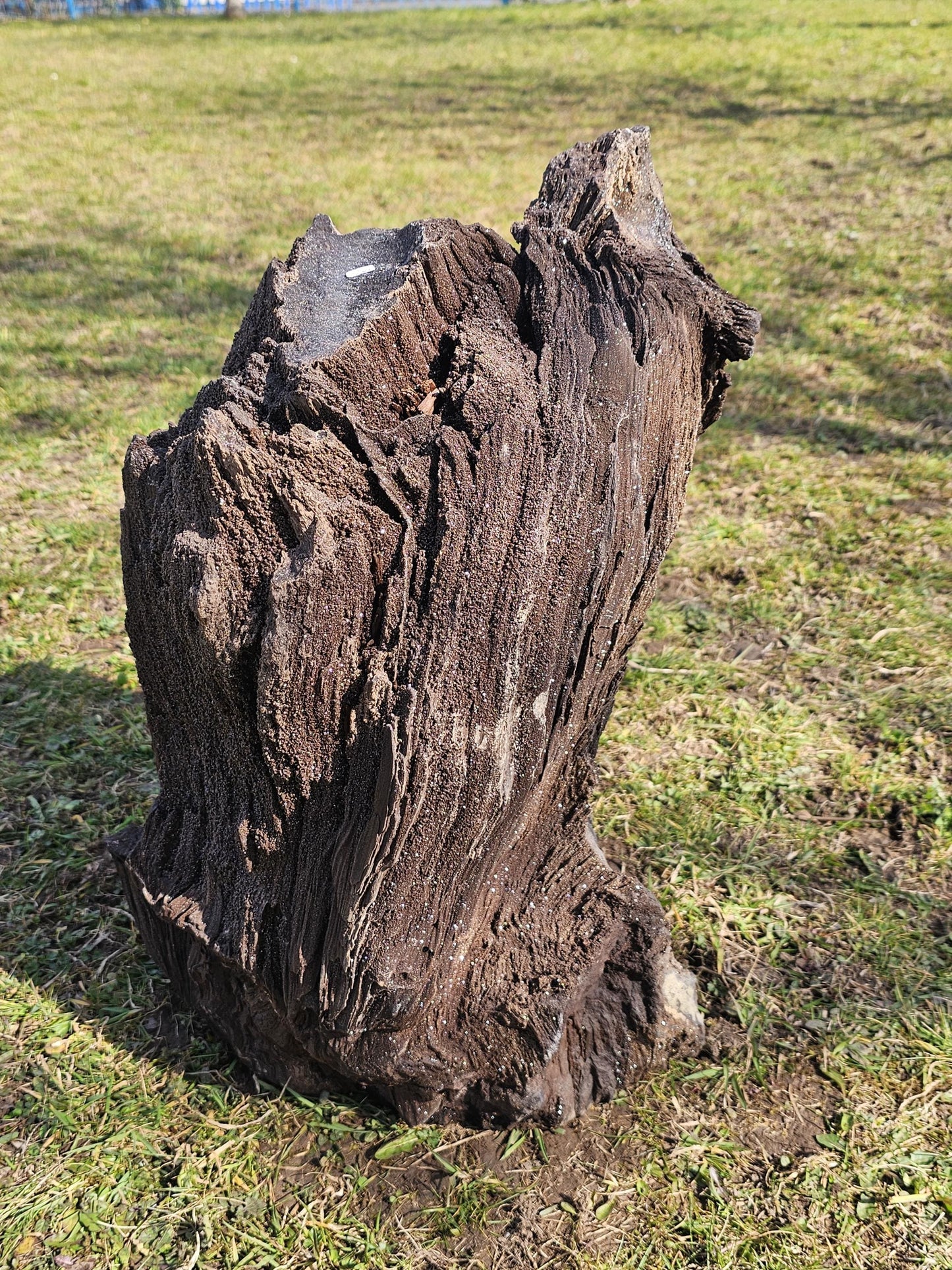 A stunning 50kg petrified wood specimen with quartz druzy, sourced from Germany.