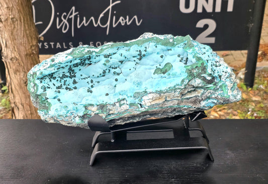 Extra large 18kg Chrysocolla with Malachite and Native Copper display specimen.