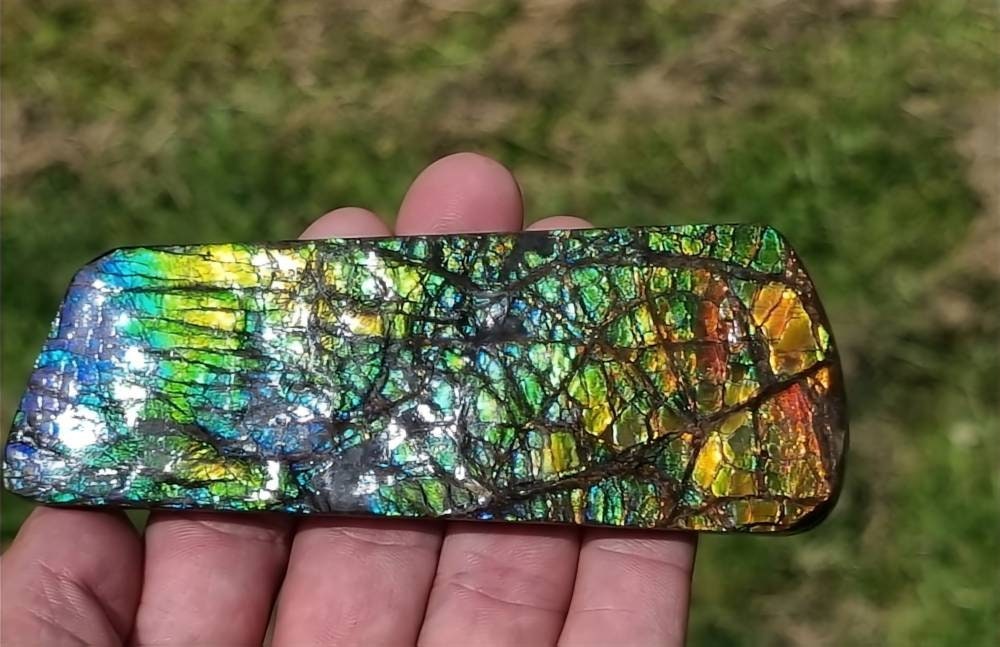 42ap) Large Ammolite Crystal Gemstone
