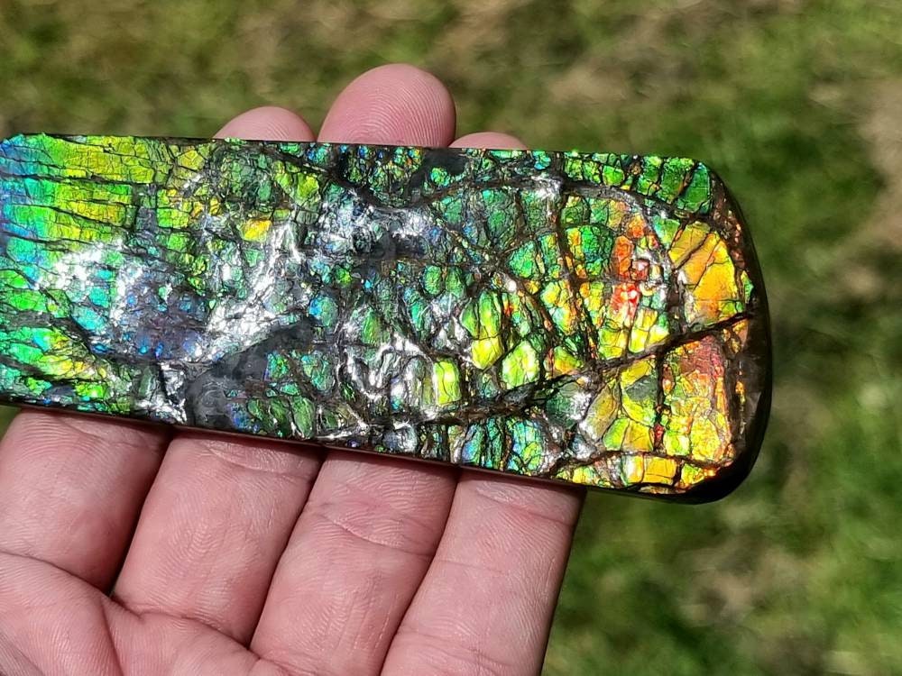42ap) Large Ammolite Crystal Gemstone