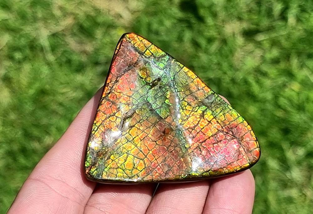 37ap) Ammolite Crystal Gemstone
