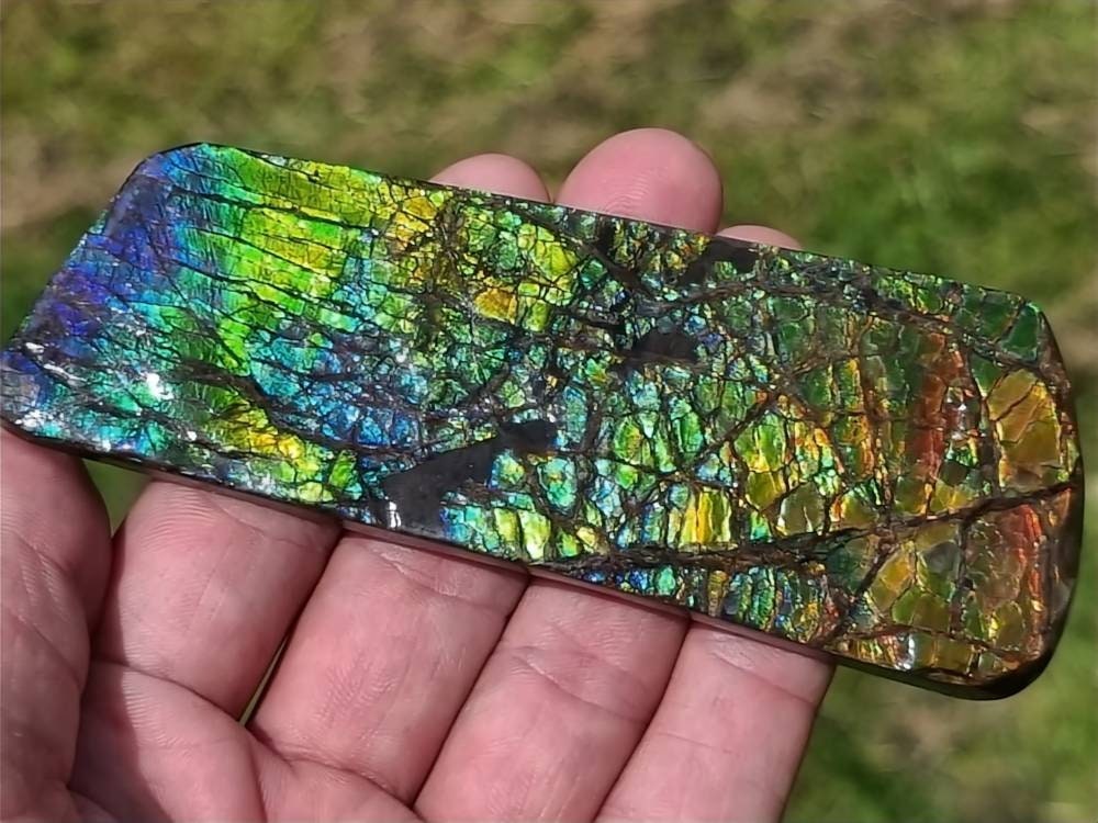 42ap) Large Ammolite Crystal Gemstone