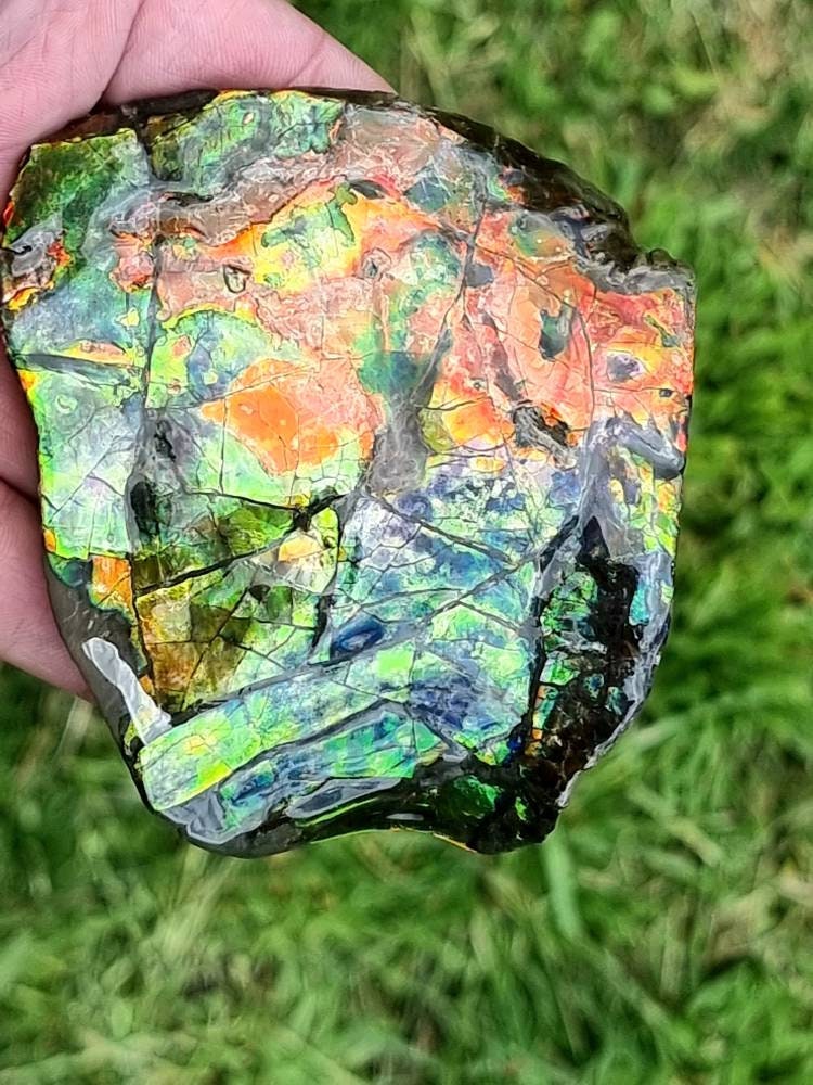 34ap) Ammolite Crystal Gemstone