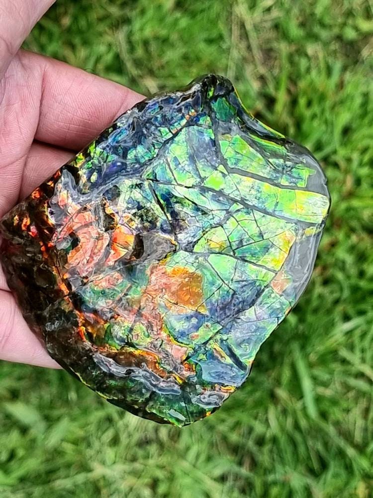 34ap) Ammolite Crystal Gemstone