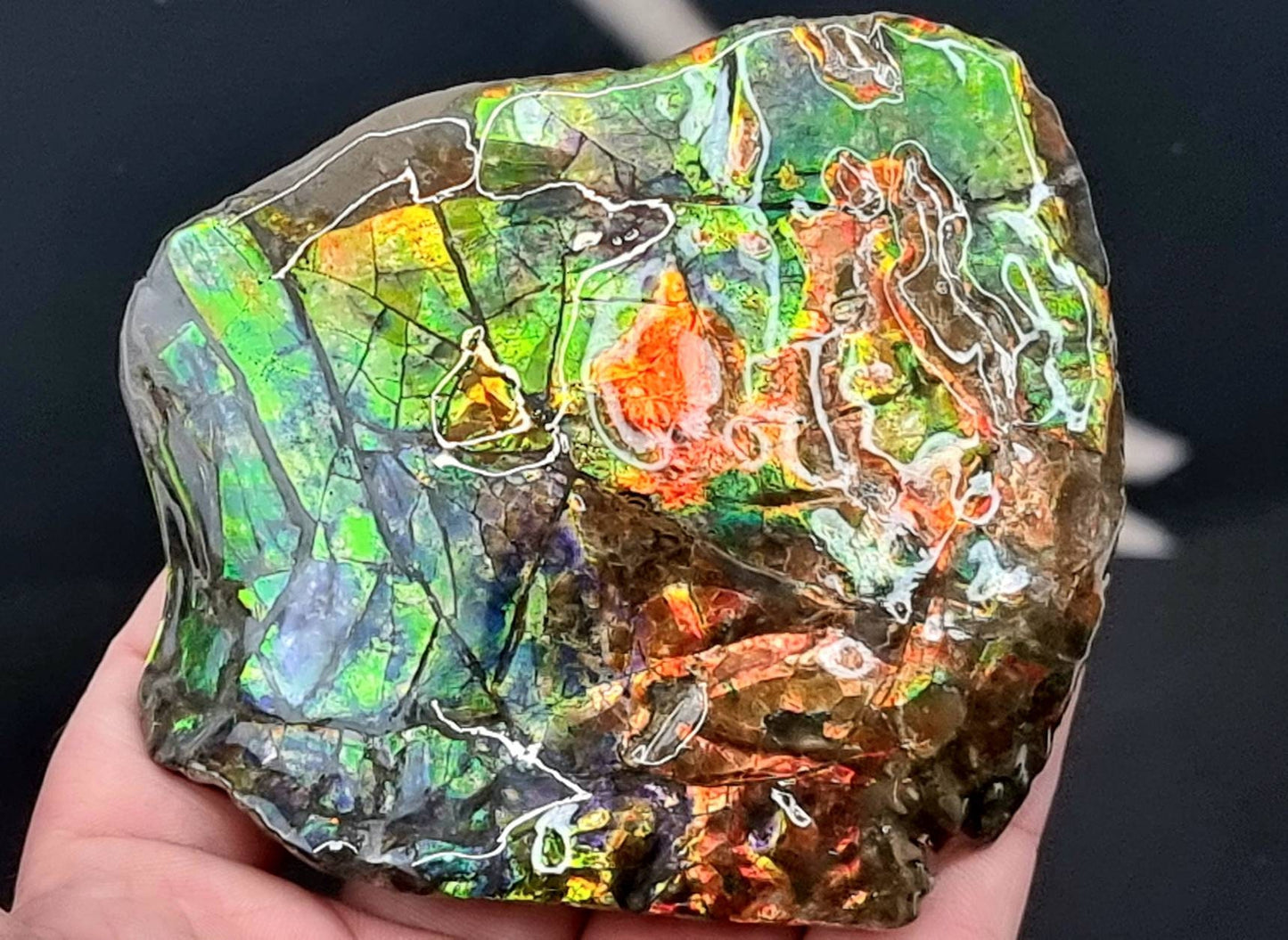 34ap) Ammolite Crystal Gemstone