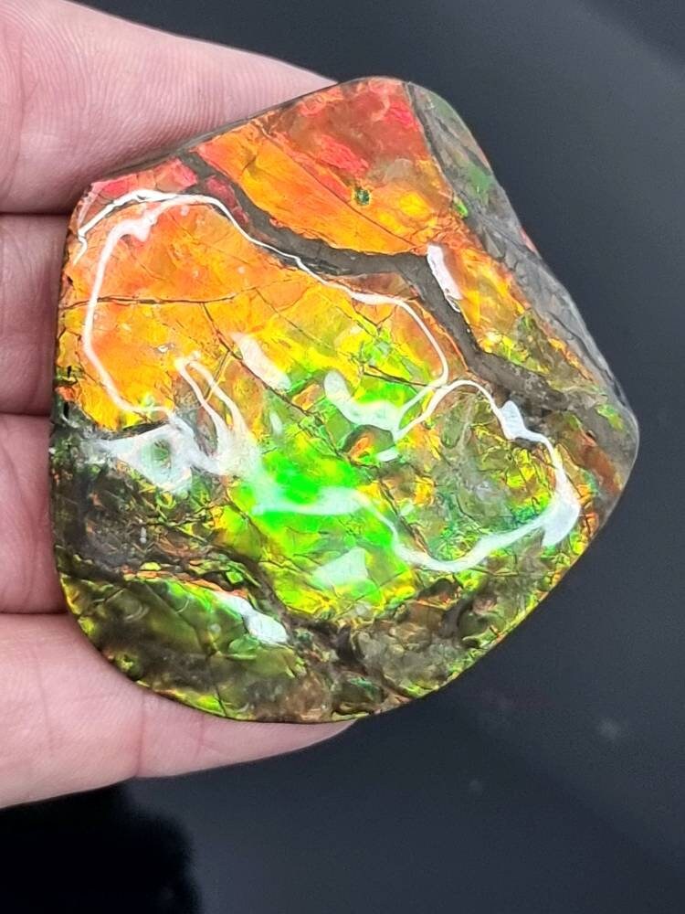 30ap) Ammolite Crystal Gemstone