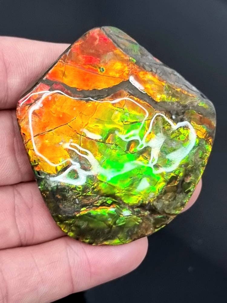 30ap) Ammolite Crystal Gemstone