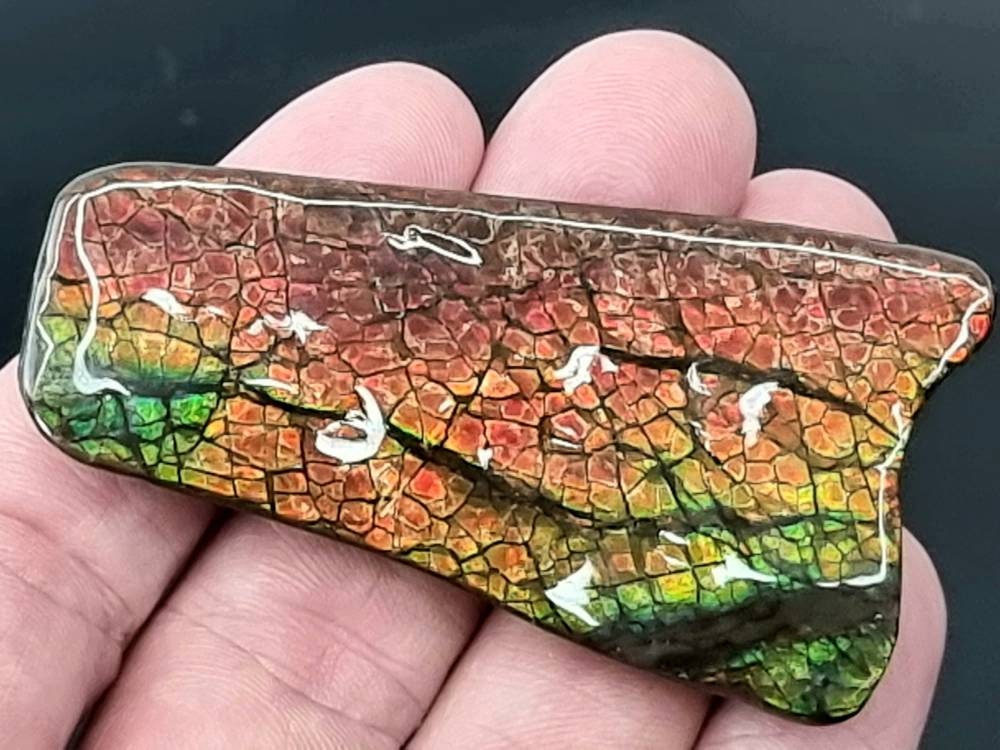 26ap) Ammolite Crystal Gemstone