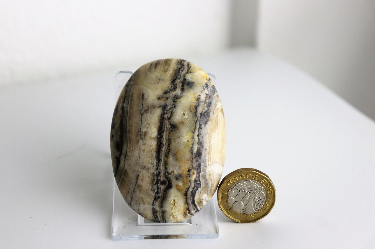 Bumble Bee Calcite Crystal Palm Stone