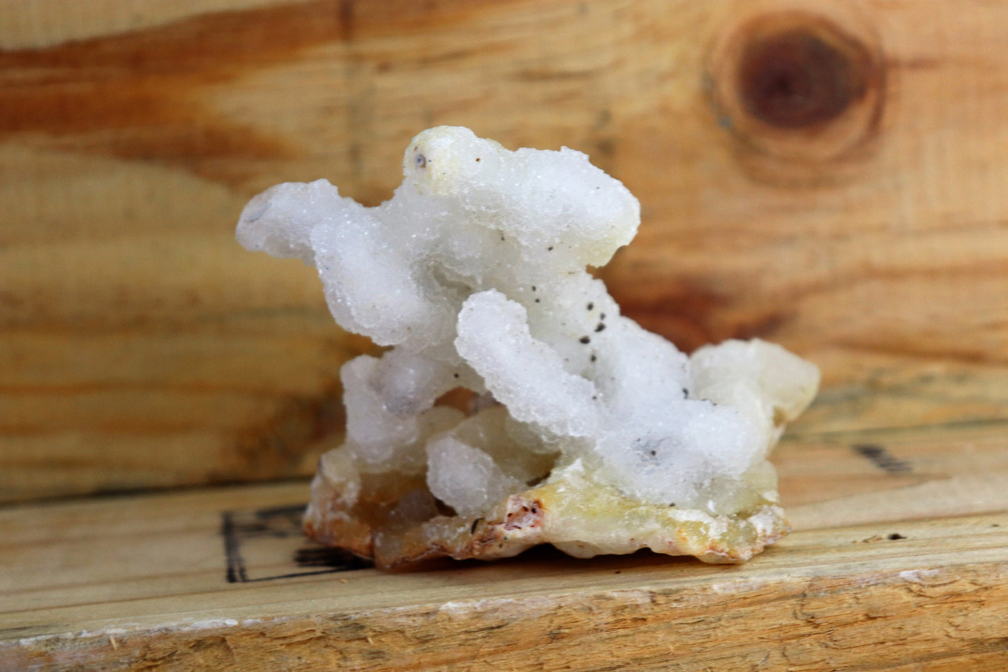 34) Large Quartz Stalactite Crystal Coral / Spirit / Cactus Quartz