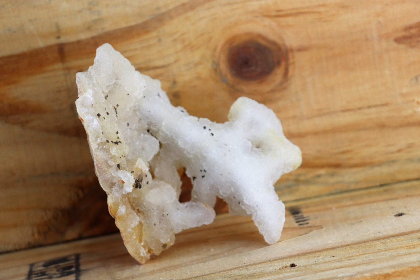 34) Large Quartz Stalactite Crystal Coral / Spirit / Cactus Quartz
