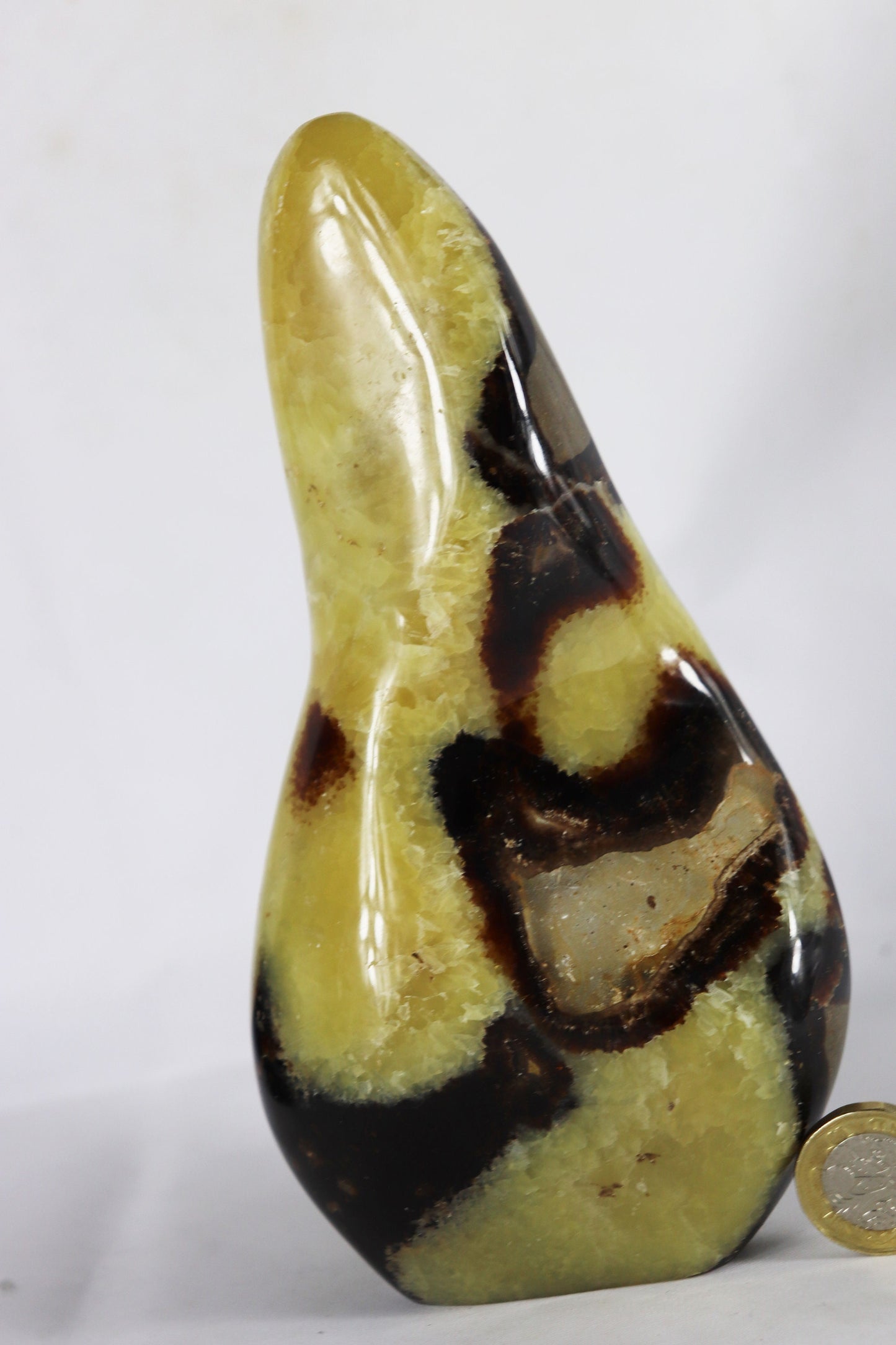 6) Large Septarian Calcite Crystal / Madagascar - Home Decor Great Gift High Grade Septaria