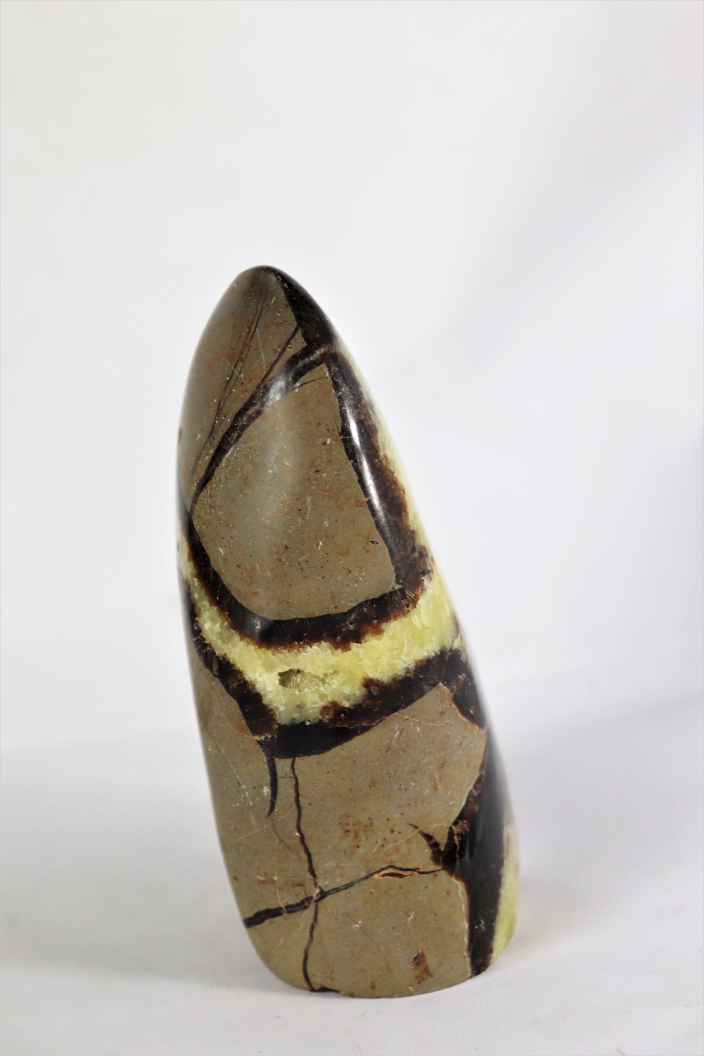 4) Large Septarian Calcite Crystal / Madagascar - Home Decor Great Gift High Grade Septaria