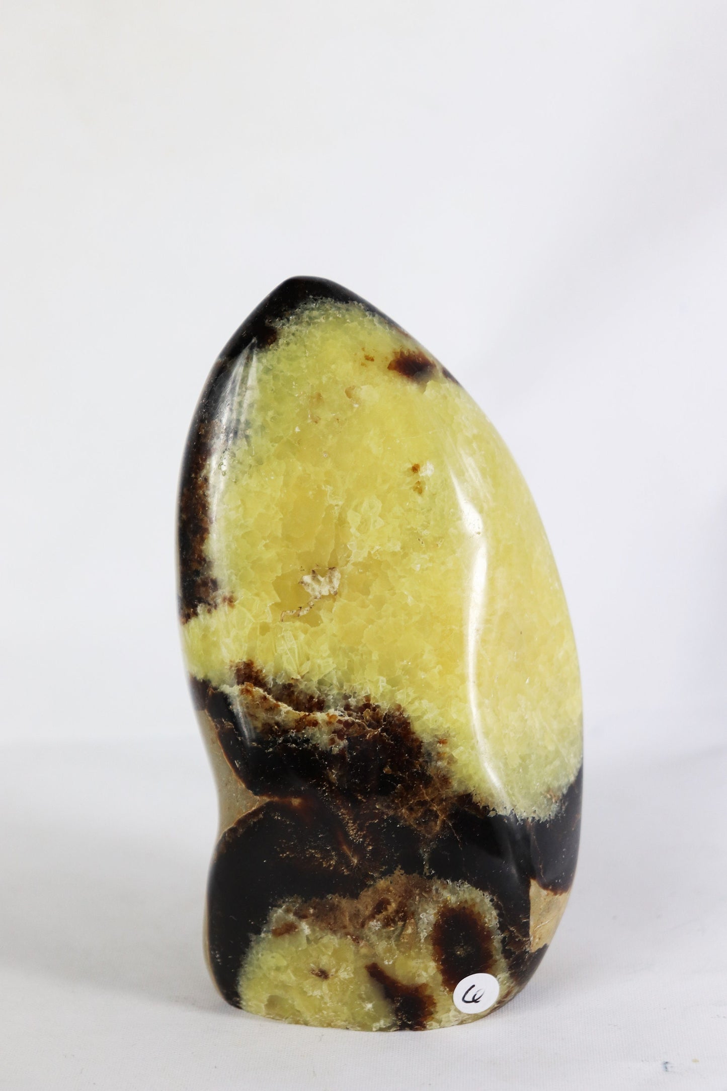 4) Large Septarian Calcite Crystal / Madagascar - Home Decor Great Gift High Grade Septaria