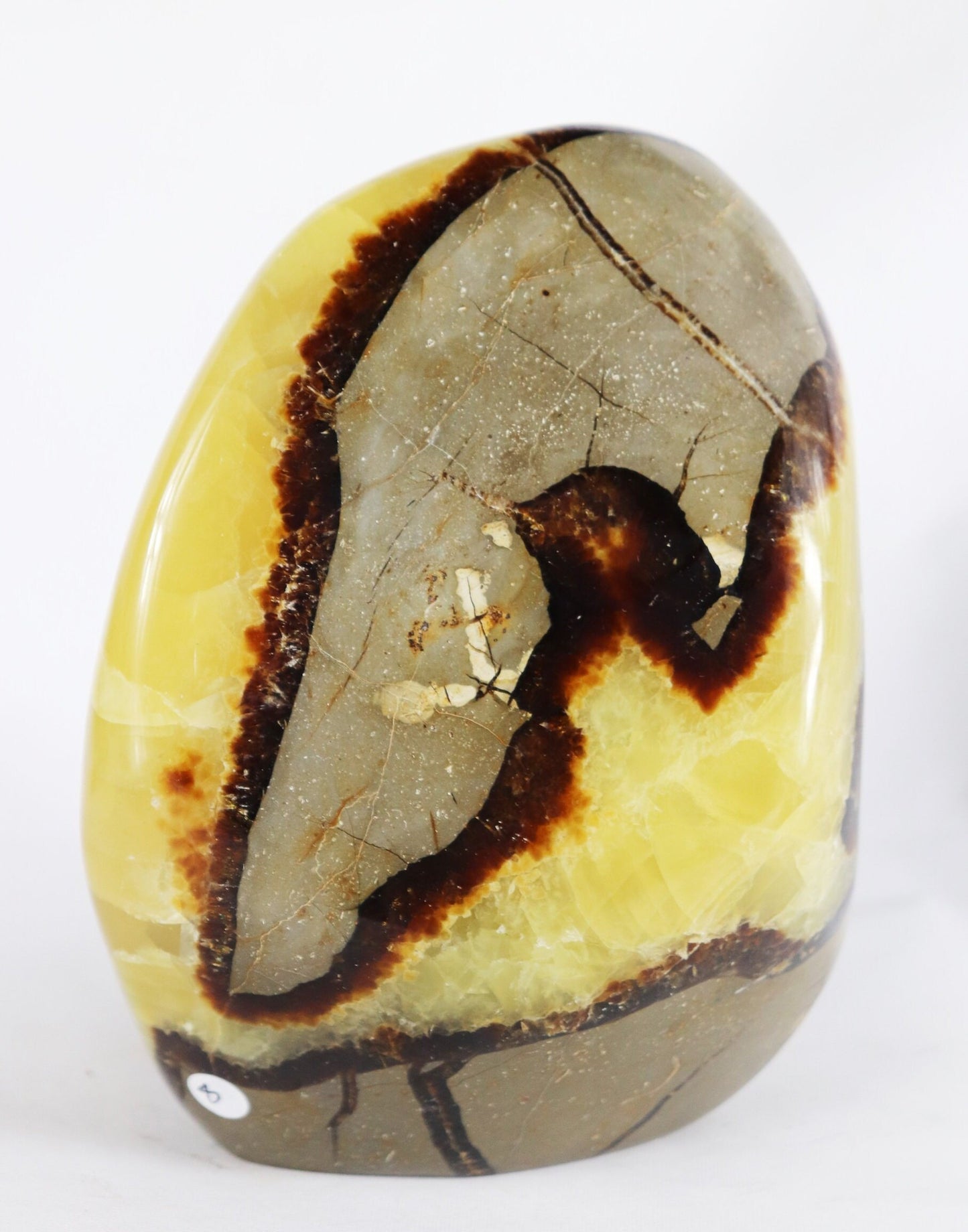 8) Large Septarian Calcite Crystal / Madagascar - Home Decor Great Gift High Grade Septaria