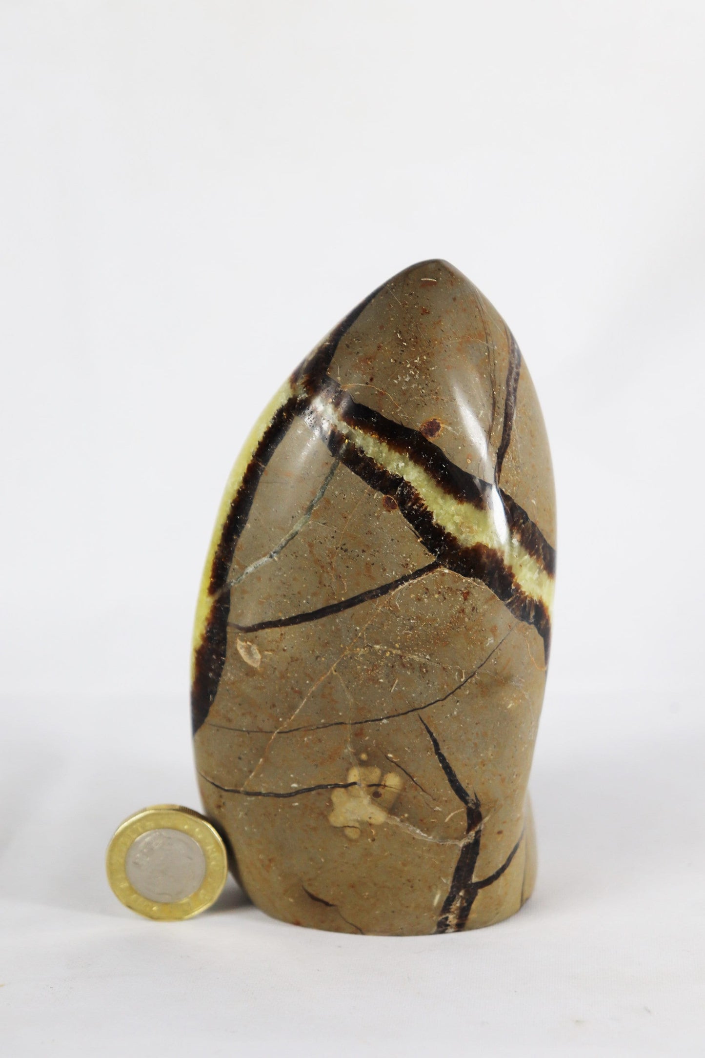 4) Large Septarian Calcite Crystal / Madagascar - Home Decor Great Gift High Grade Septaria