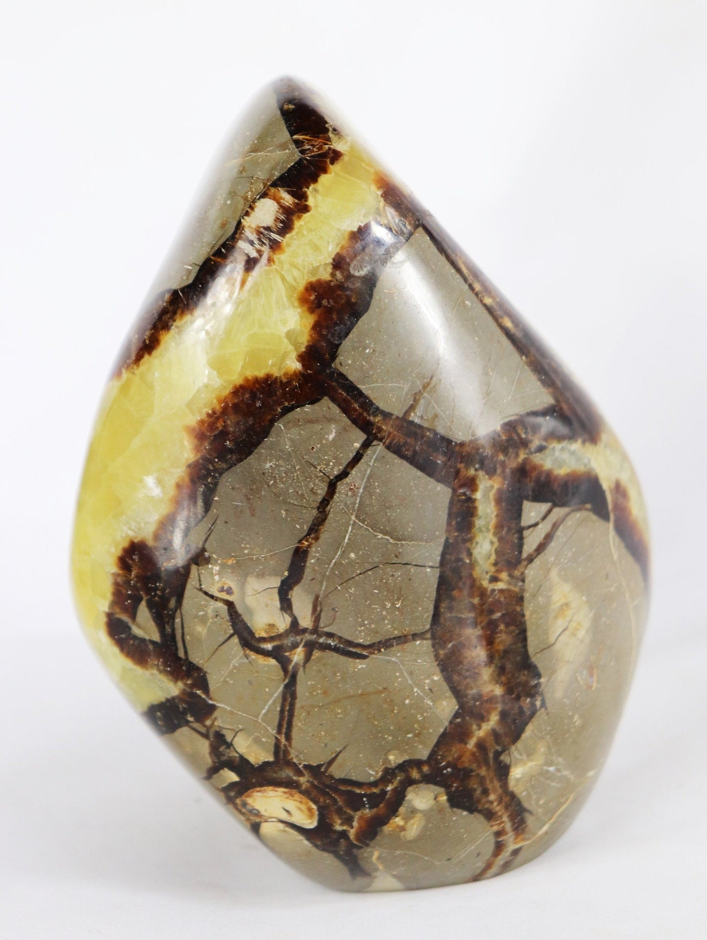 8) Large Septarian Calcite Crystal / Madagascar - Home Decor Great Gift High Grade Septaria