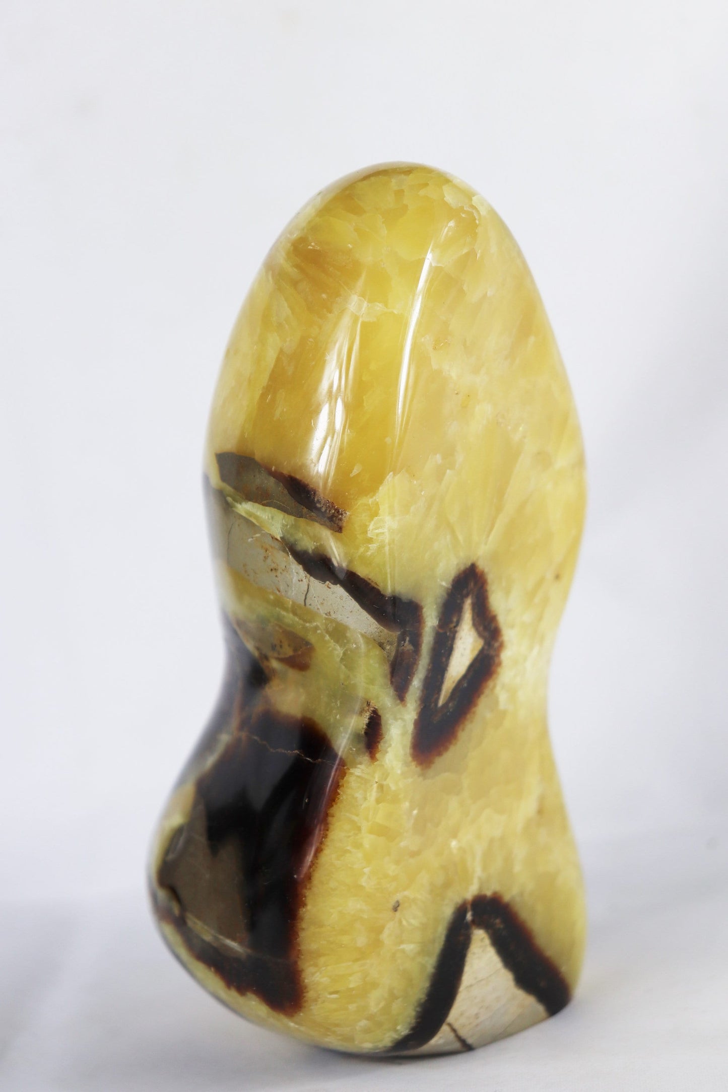 7) Large Septarian Calcite Crystal / Madagascar - Home Decor Great Gift High Grade Septaria