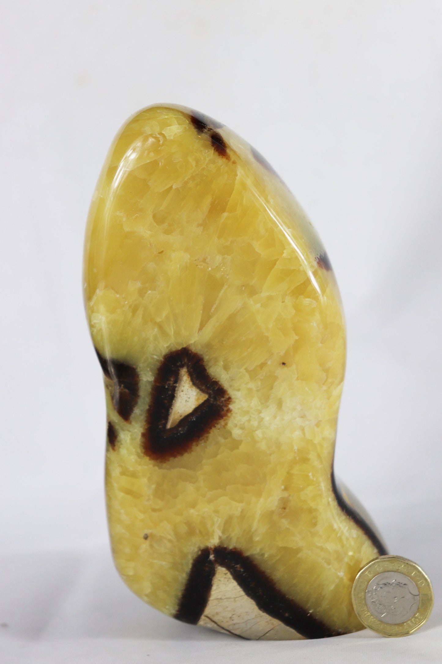 7) Large Septarian Calcite Crystal / Madagascar - Home Decor Great Gift High Grade Septaria