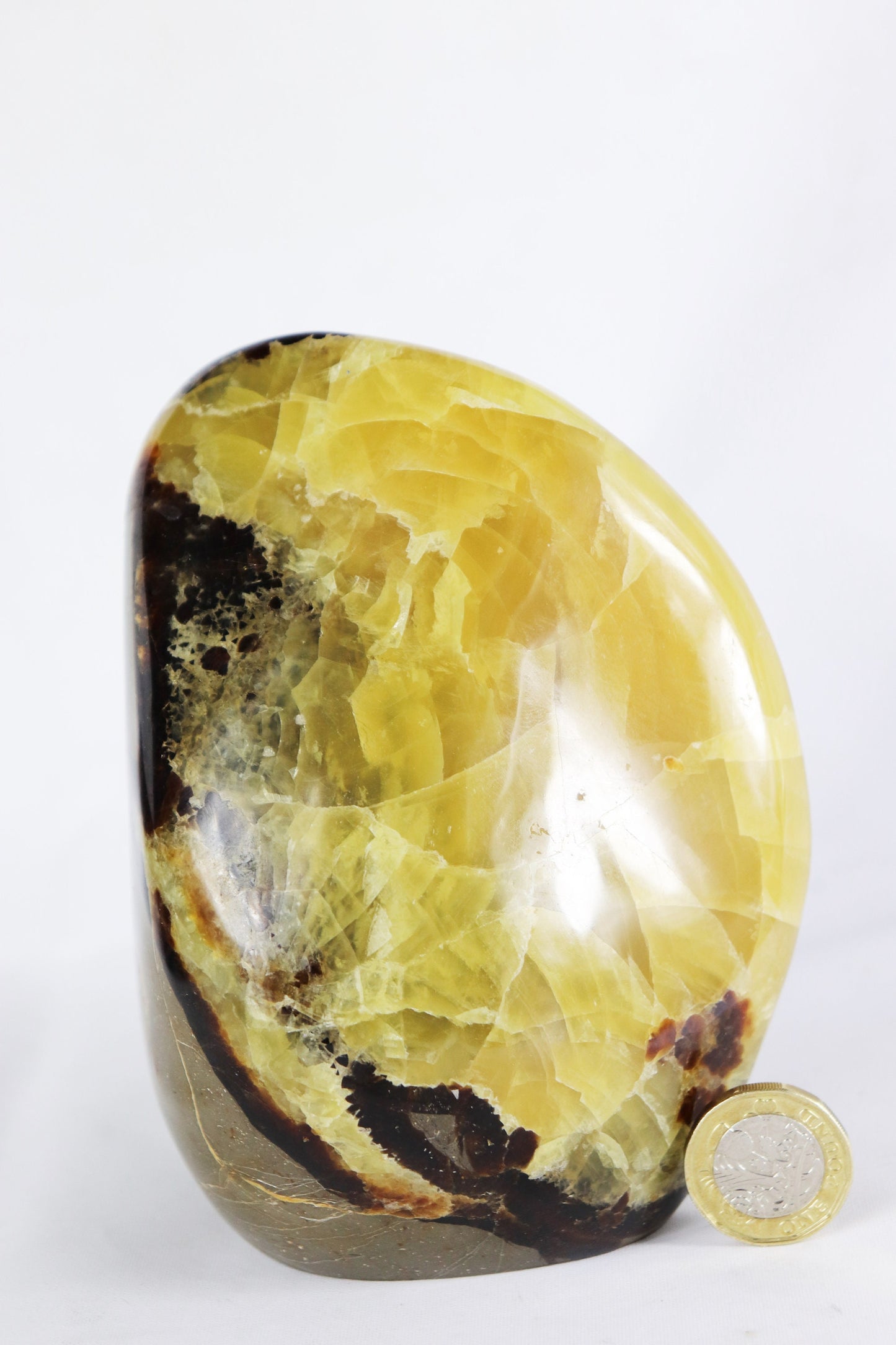 8) Large Septarian Calcite Crystal / Madagascar - Home Decor Great Gift High Grade Septaria