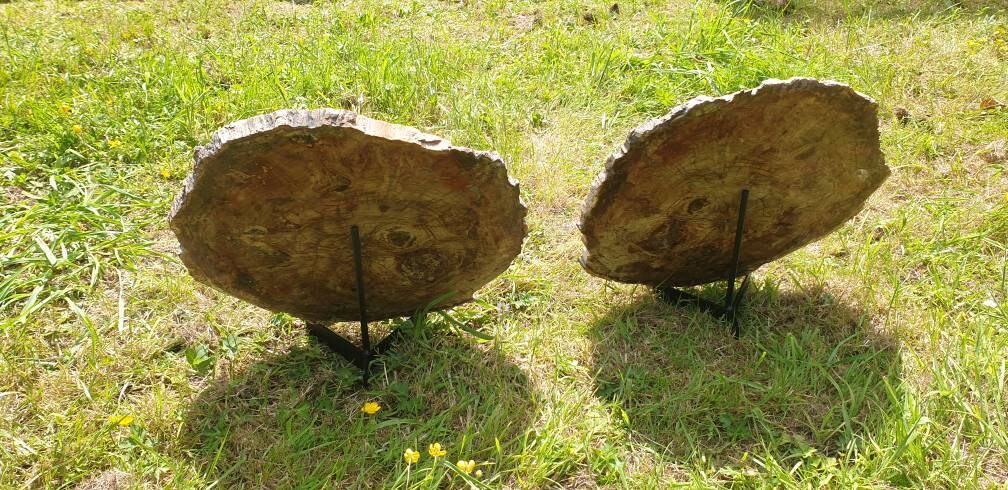 natural holistic home decor