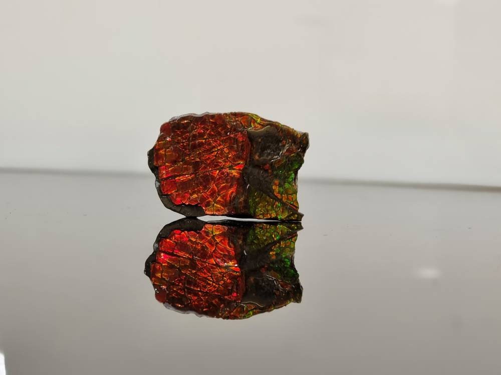 27am) Ammolite Crystal Gemstone