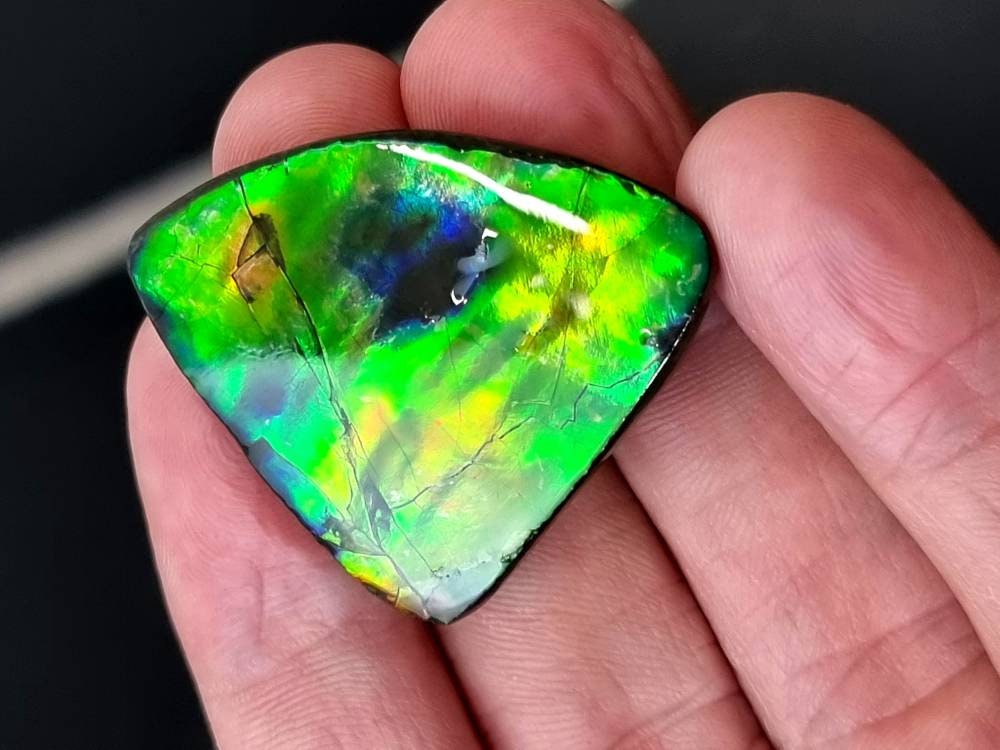 19am) Ammolite Crystal Gemstone