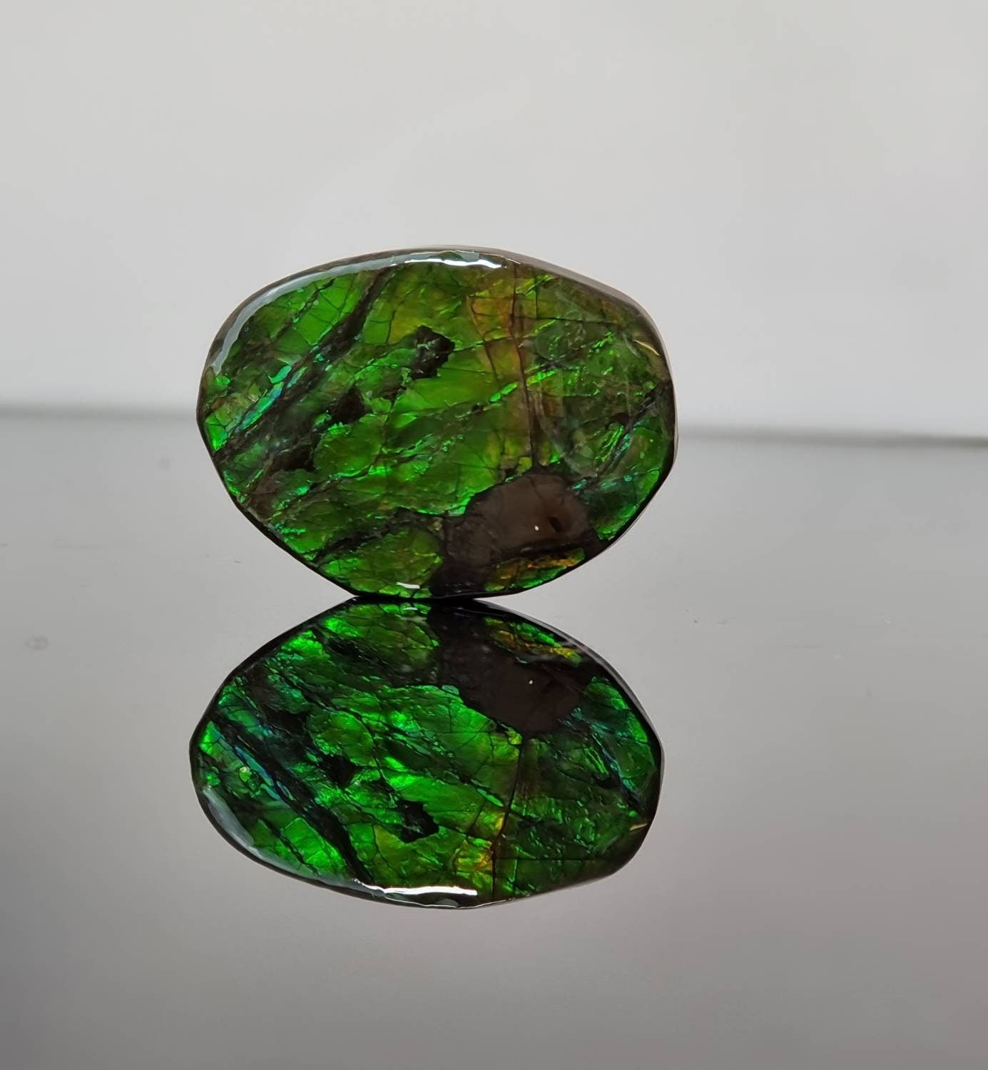 16am) Ammolite Crystal Gemstone