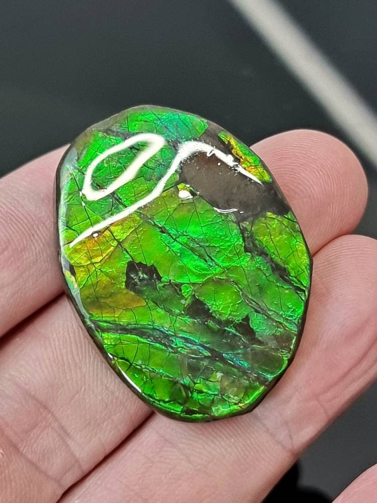 16am) Ammolite Crystal Gemstone