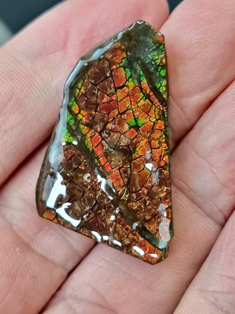 59) Ammolite Crystal Gemstone