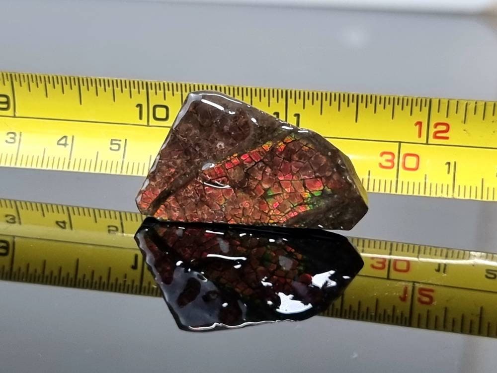 59) Ammolite Crystal Gemstone