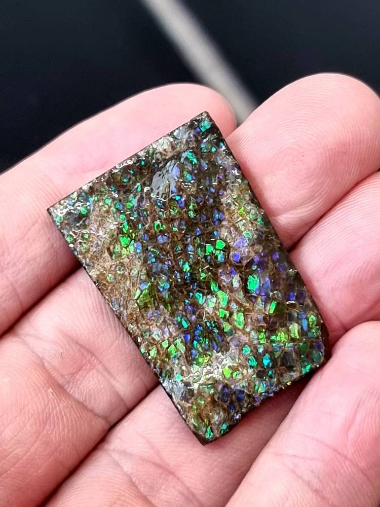 57) Ammolite Crystal Gemstone