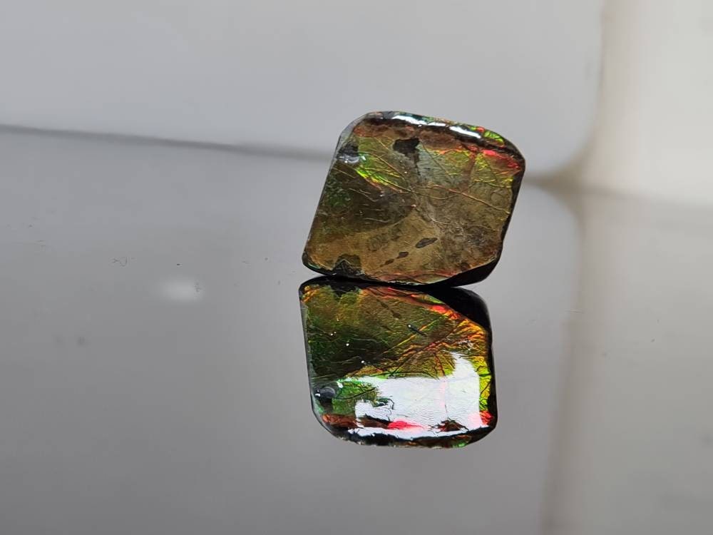 53) Ammolite Crystal Gemstone