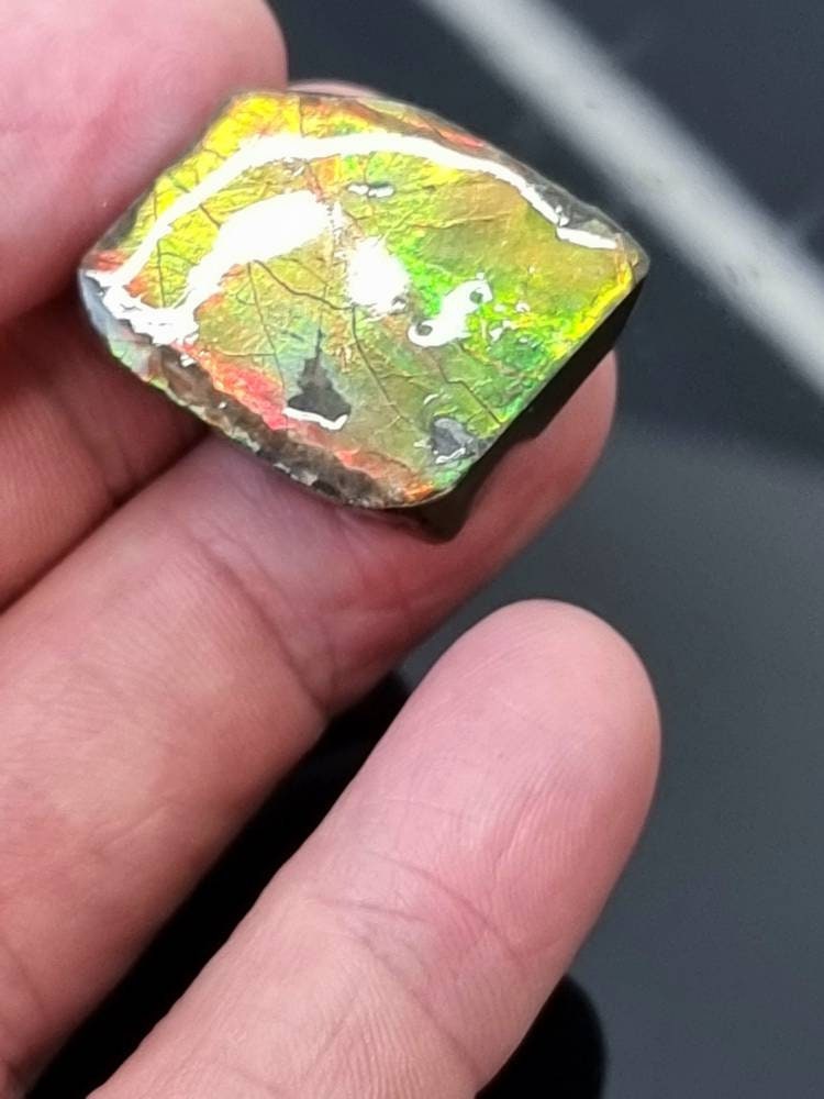 53) Ammolite Crystal Gemstone