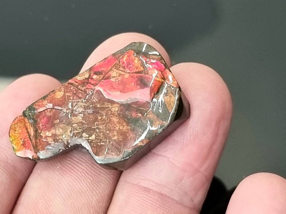 51) Ammolite Crystal Gemstone