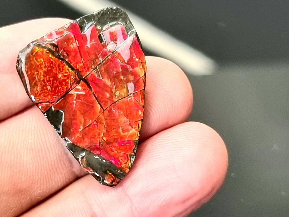 45) Ammolite Crystal Gemstone
