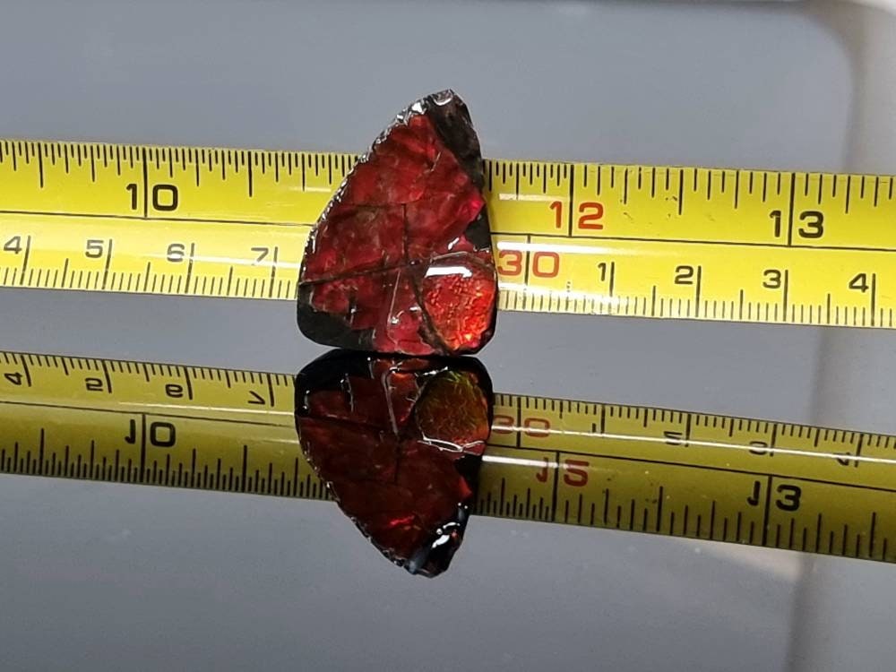 45) Ammolite Crystal Gemstone