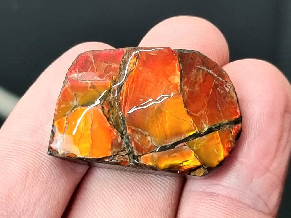 40) Ammolite Crystal Gemstone
